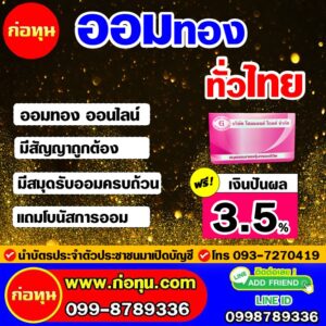ทองอย่างเดียว77-300x300
